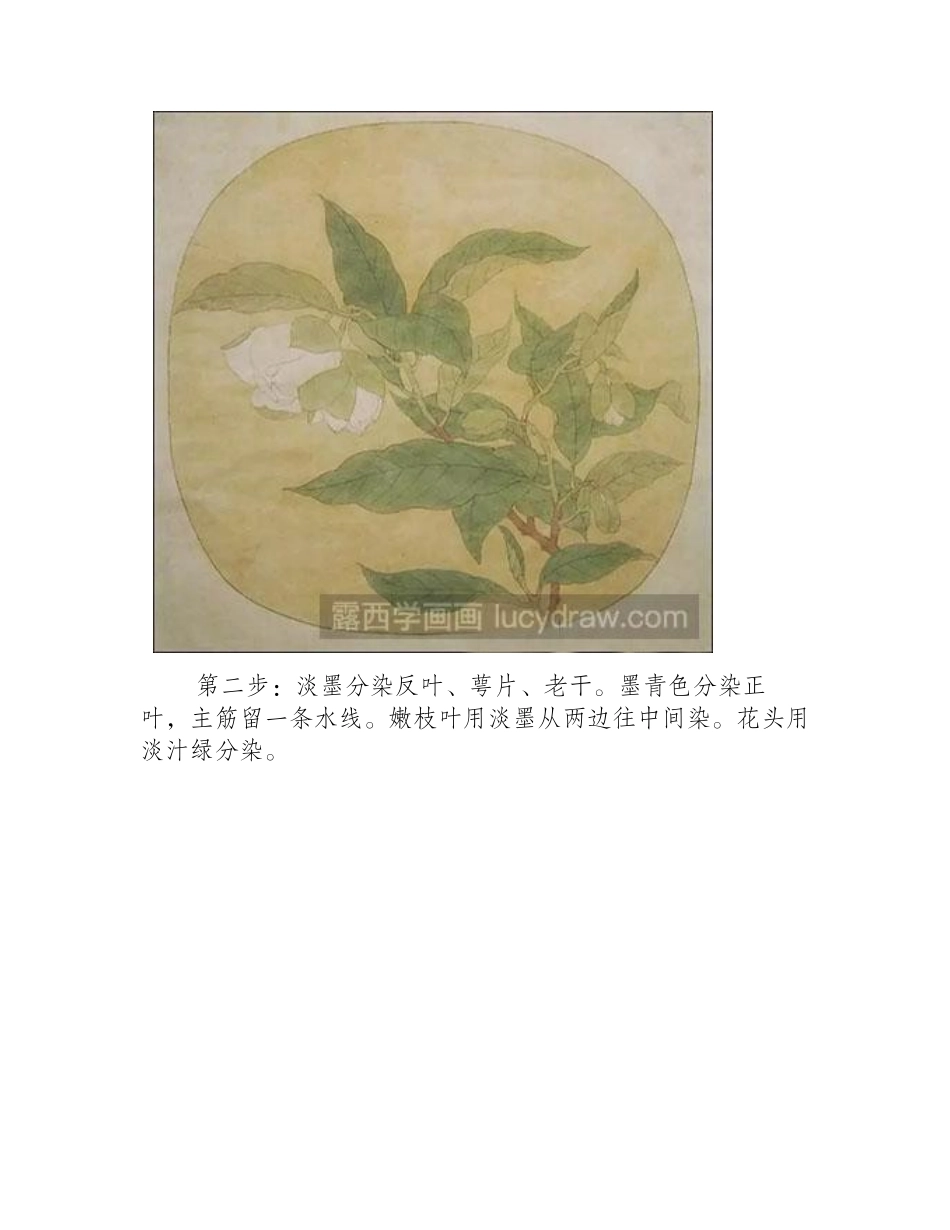 怎么画白茶花工笔画教程_第2页