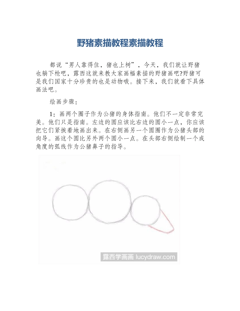 野猪素描教程素描教程_第1页