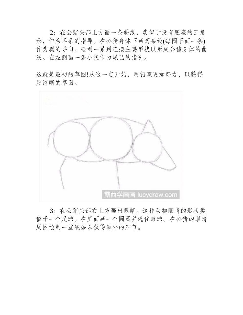野猪素描教程素描教程_第2页