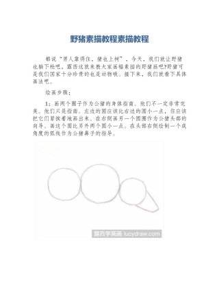 野猪素描教程素描教程