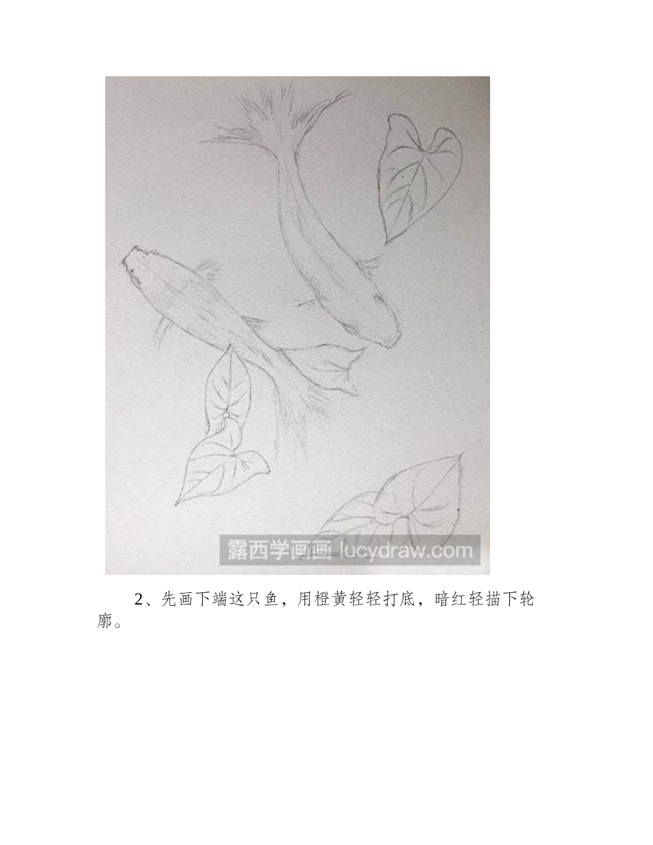 怎么绘制鱼彩铅画教程_第2页