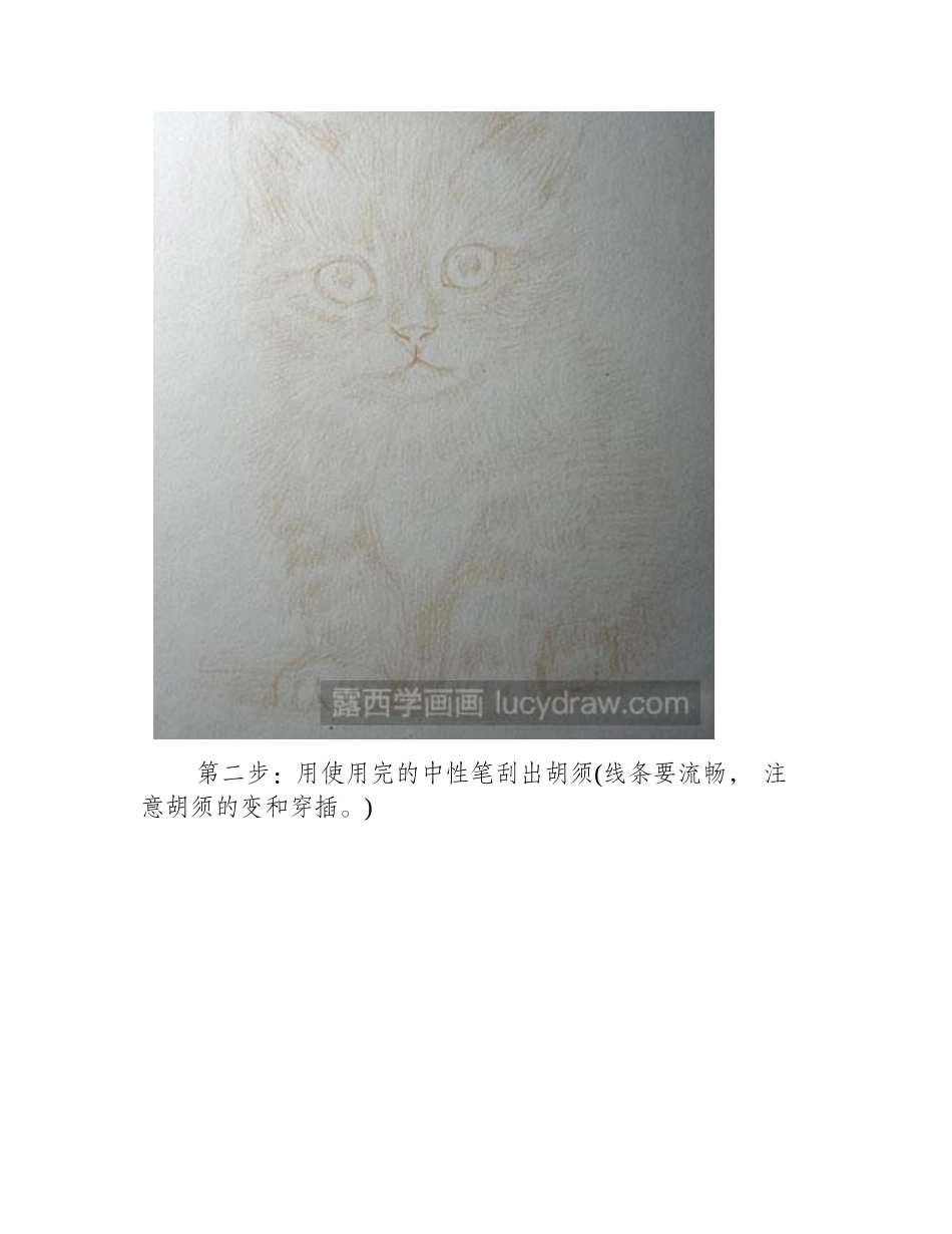 怎么绘制小猫咪彩铅画教程_第2页