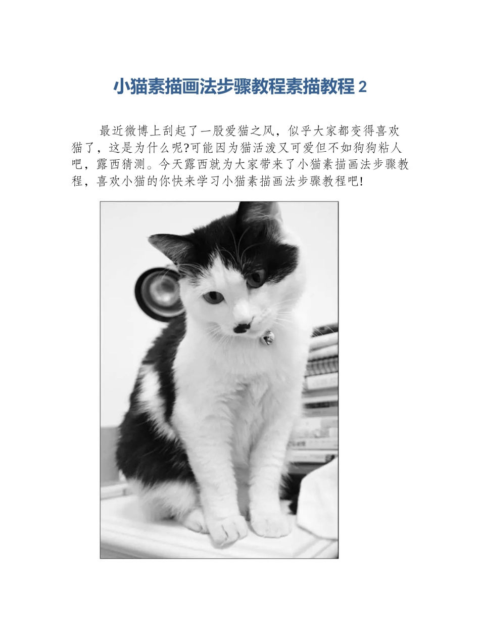 小猫素描画法步骤教程素描教程2_第1页