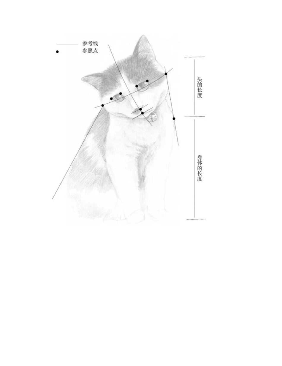 小猫素描画法步骤教程素描教程2_第2页