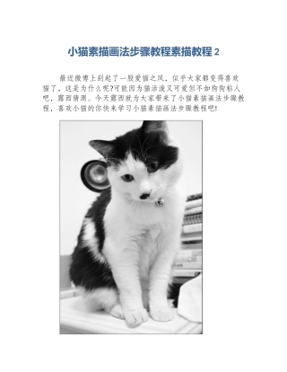 小猫素描画法步骤教程素描教程2