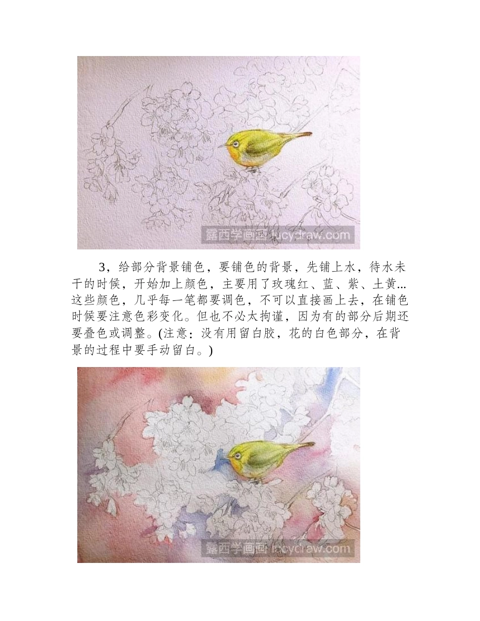 樱花绣眼水彩画教程水彩画教程_第2页