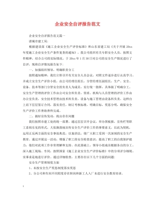 企业安全自评报告范文