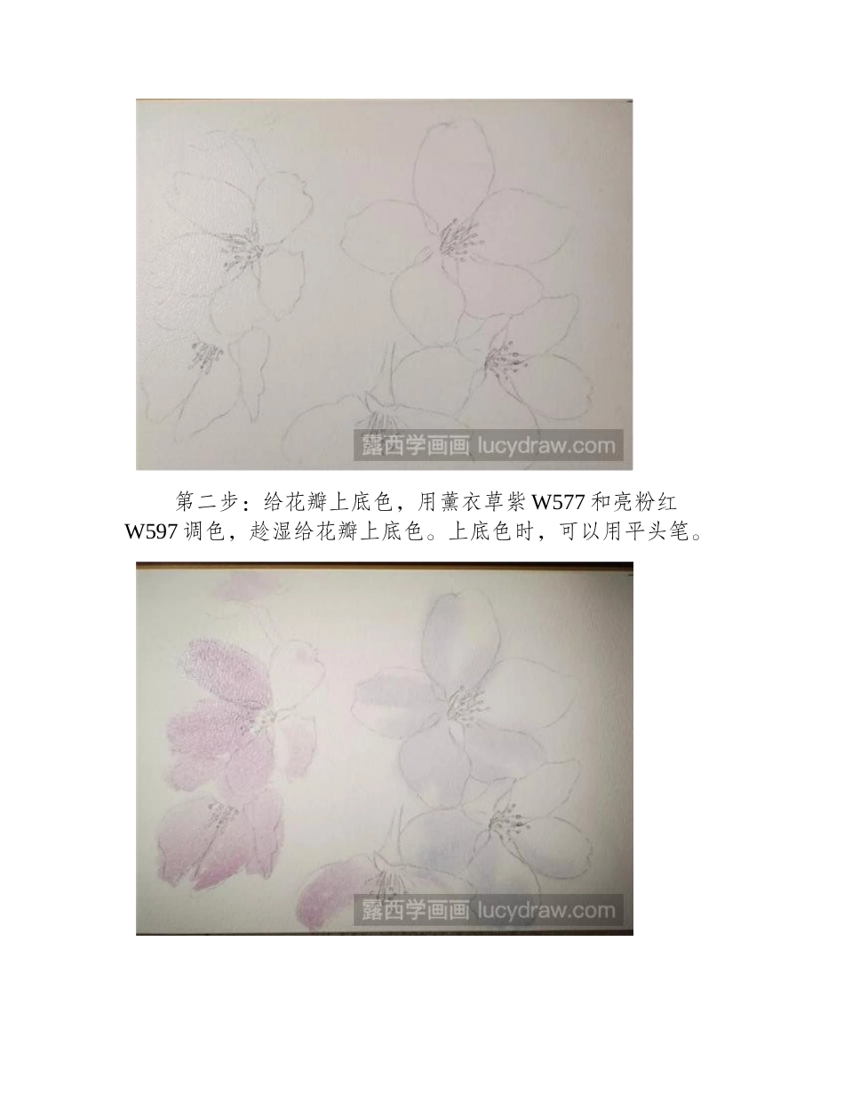 樱花怎么画_超详细的樱花水彩画教程分享水彩画教程_第2页
