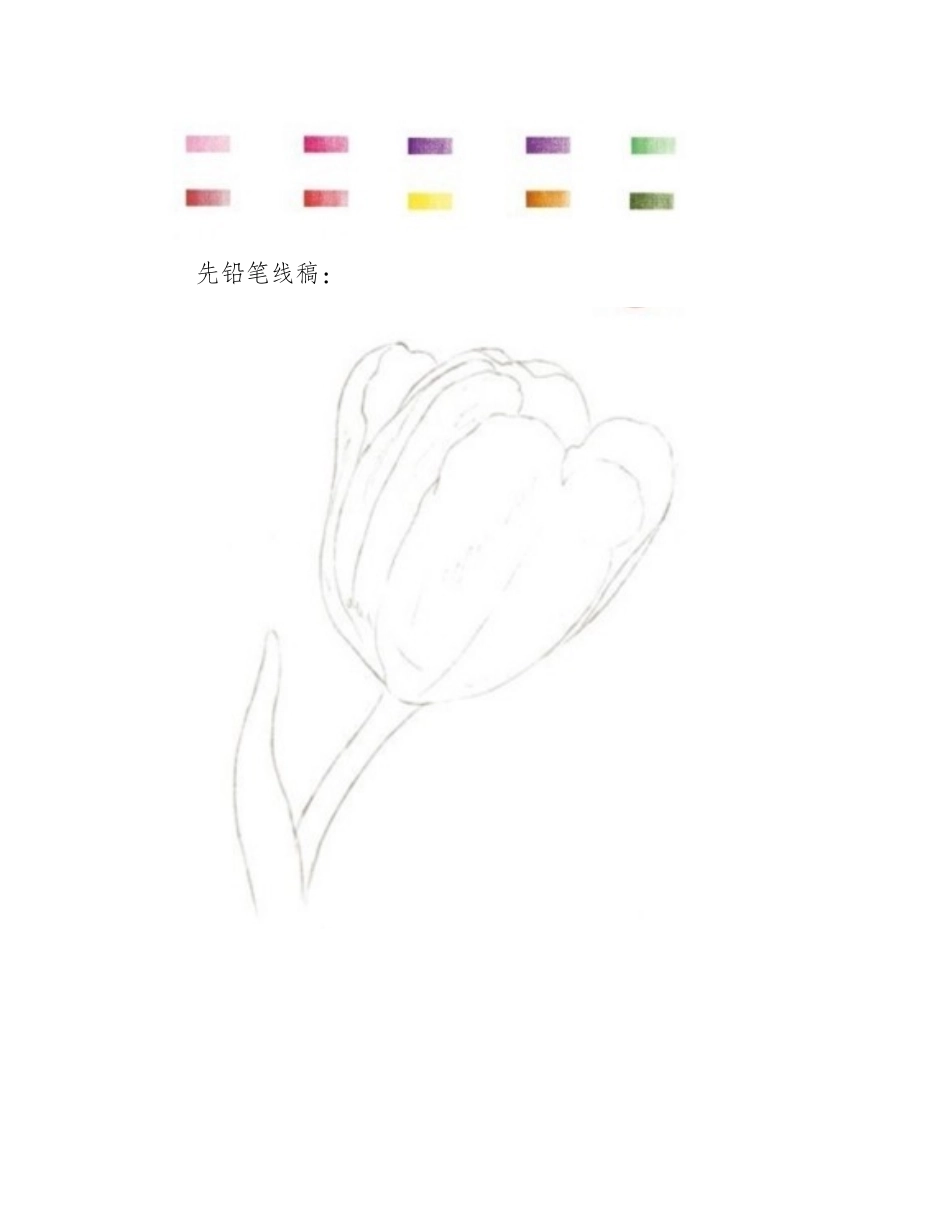 郁金香彩铅画教程绘画步骤详解彩铅画教程1_第2页