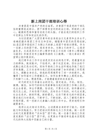 新上岗团干部培训心得
