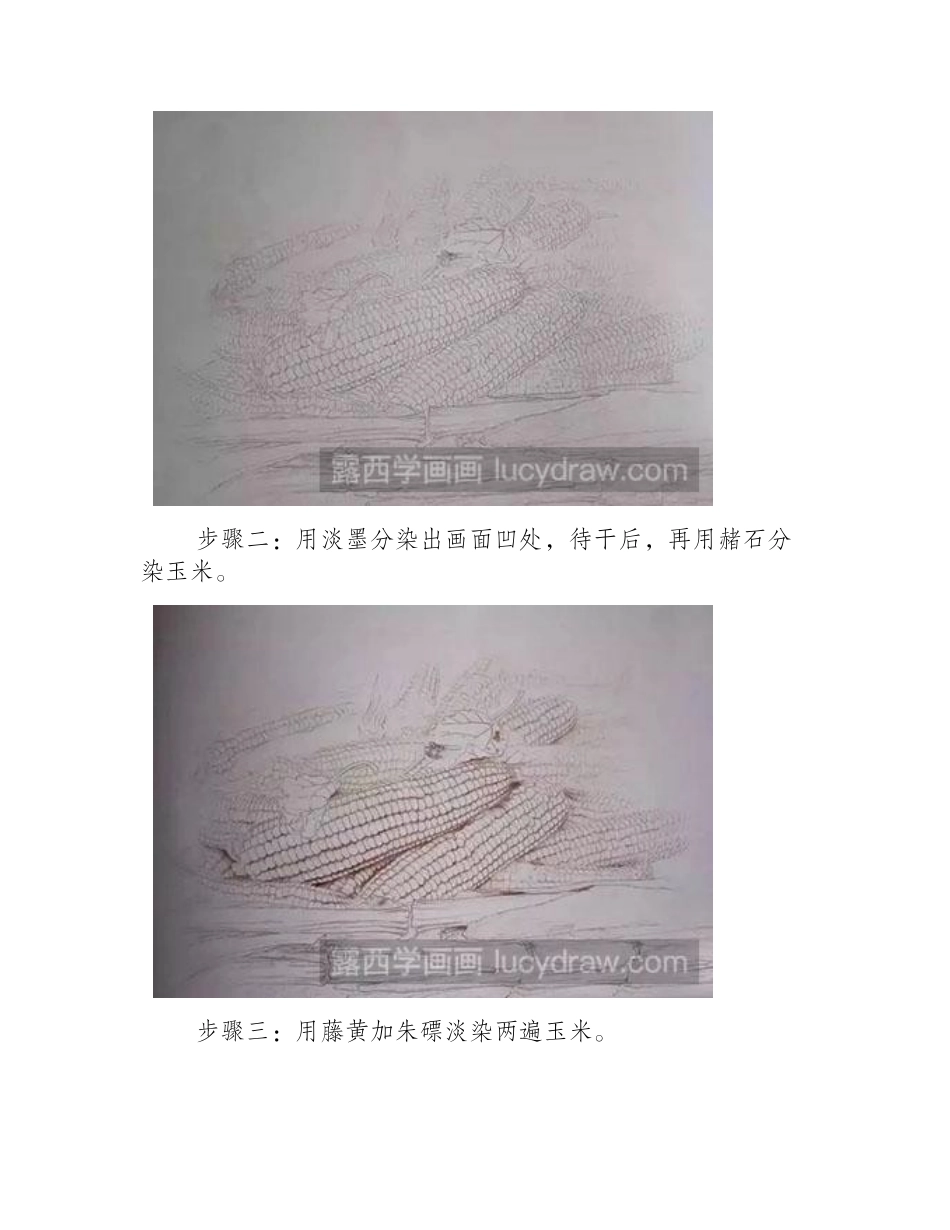 怎么给玉米设色工笔画教程_第2页