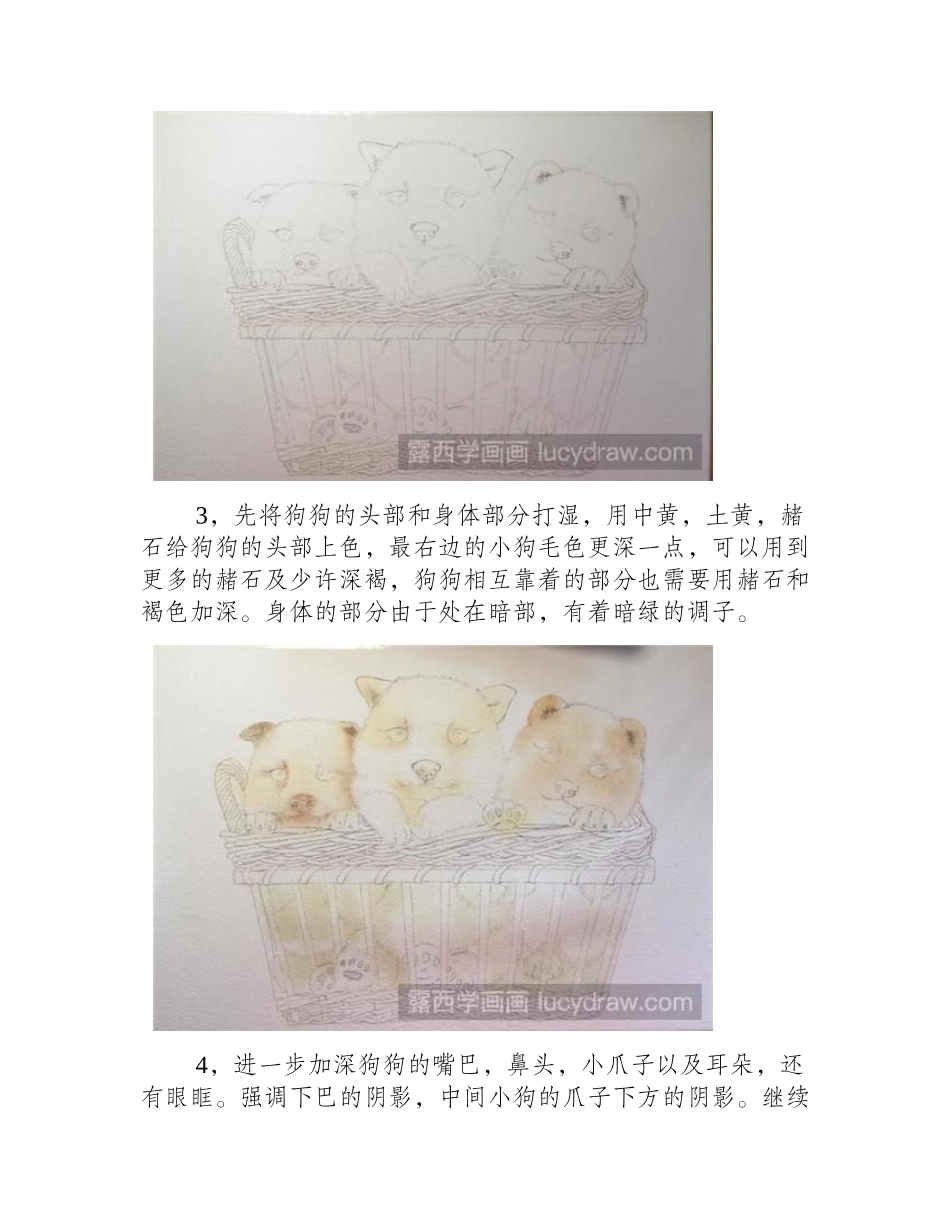 小狗怎么画水彩画教程_第2页