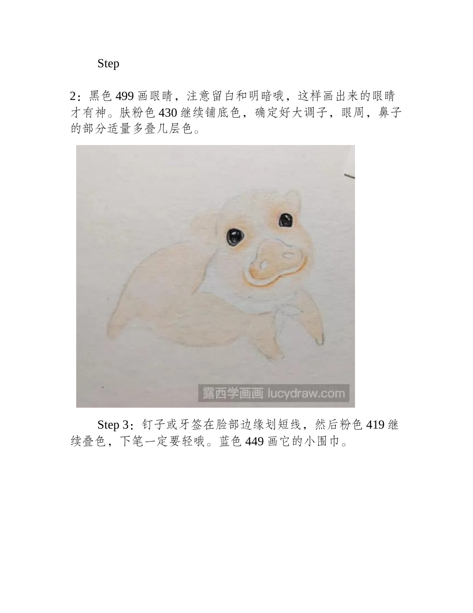 怎么画彩铅小猪_简单易学!彩铅画教程_第2页