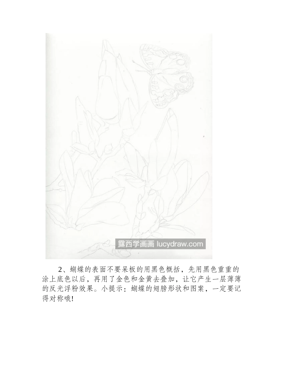紫玉兰和蝴蝶怎么画_有哪些绘画步骤_彩铅画教程_第2页