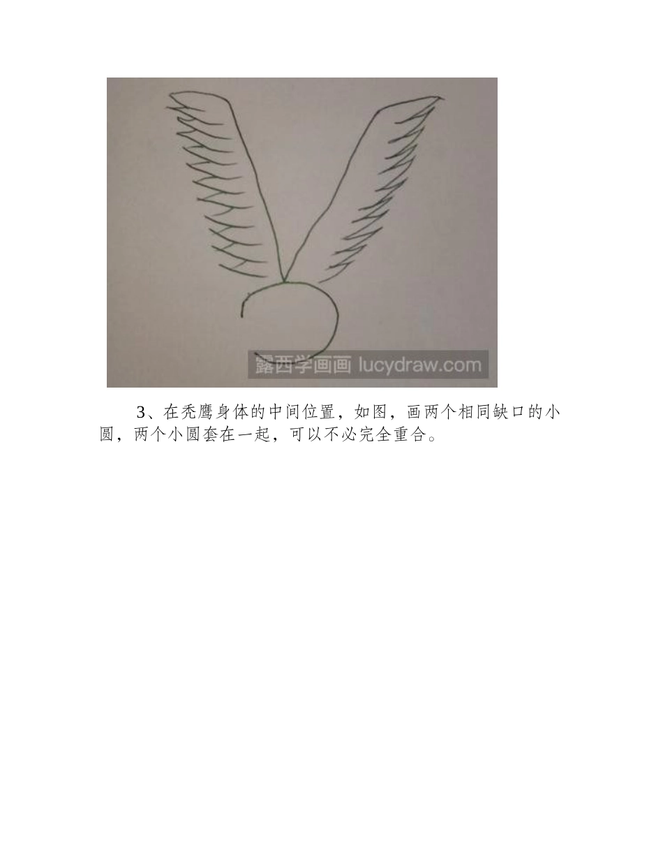 字母创意简笔画：V变鹰的画法简笔画教程_第2页