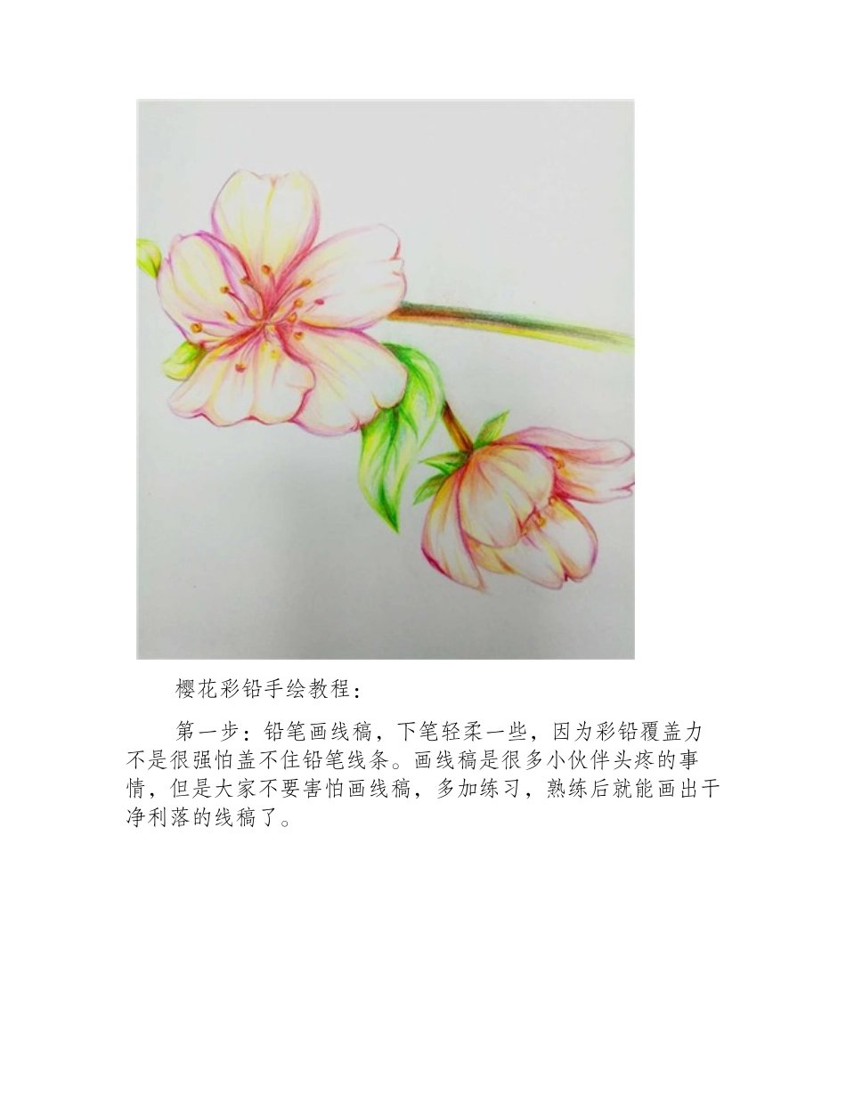 樱花彩铅手绘教程彩铅画教程_第2页