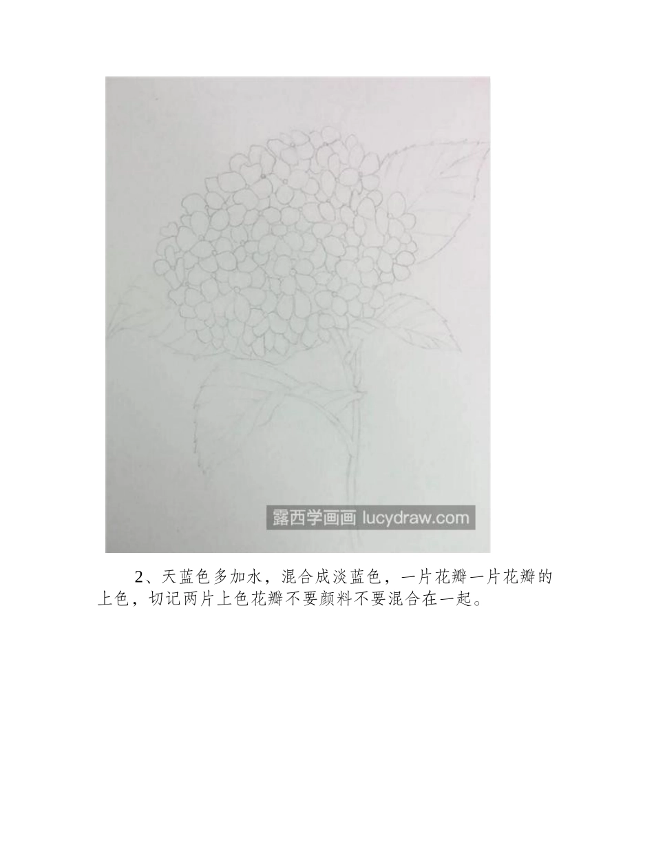 绣球花怎么画_绣球花的水彩步骤有几步_水彩画教程_第2页