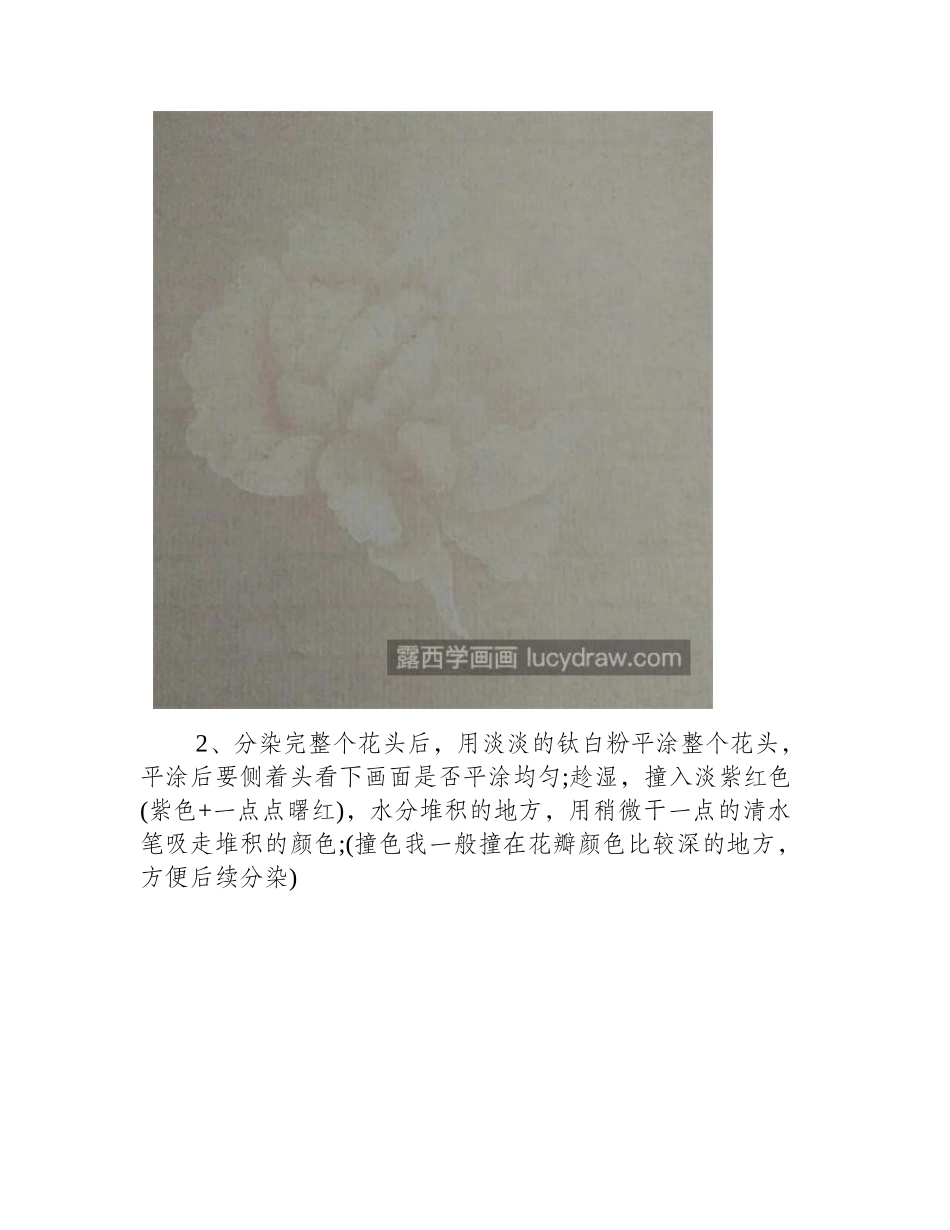 怎么画牡丹_没骨牡丹的画法是什么_国画教程_第2页