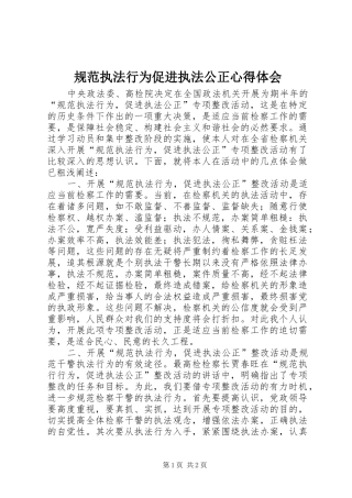 规范执法行为促进执法公正心得体会