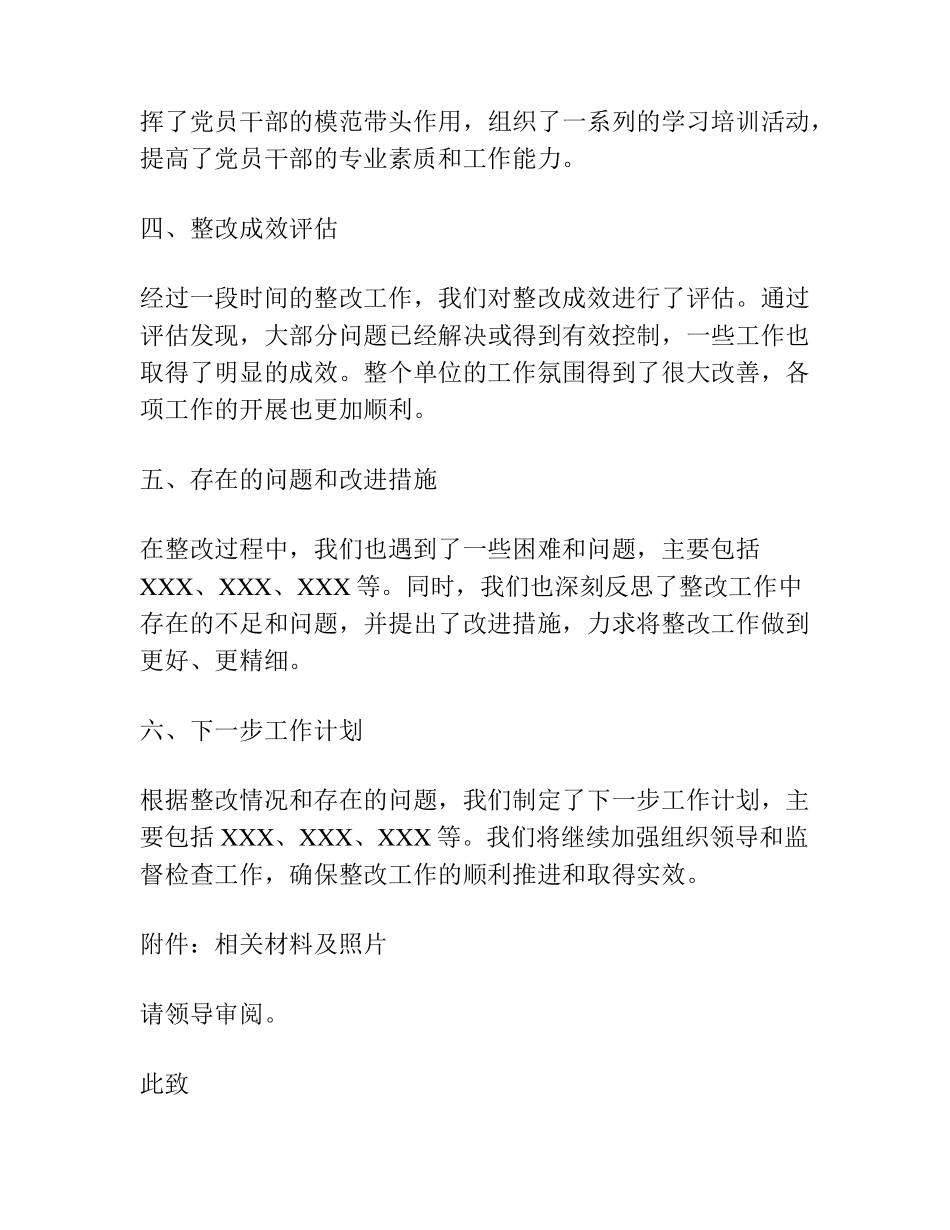 专项巡察整改落实情况的报告(17篇) _第2页