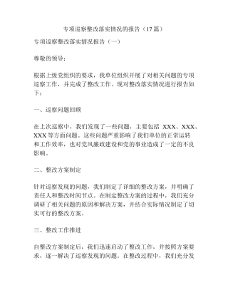 专项巡察整改落实情况的报告(17篇) 