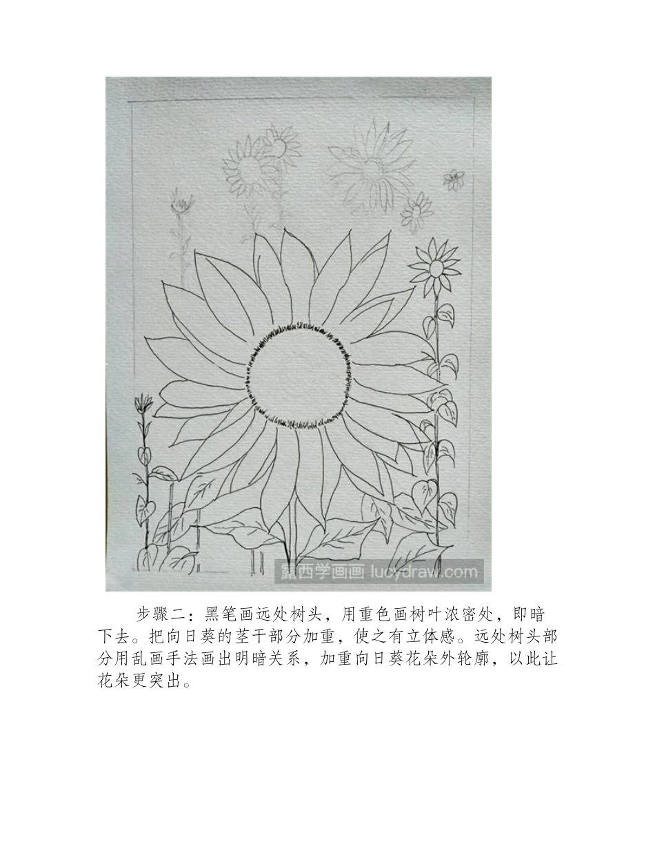向日葵插画教程插画教程_第2页