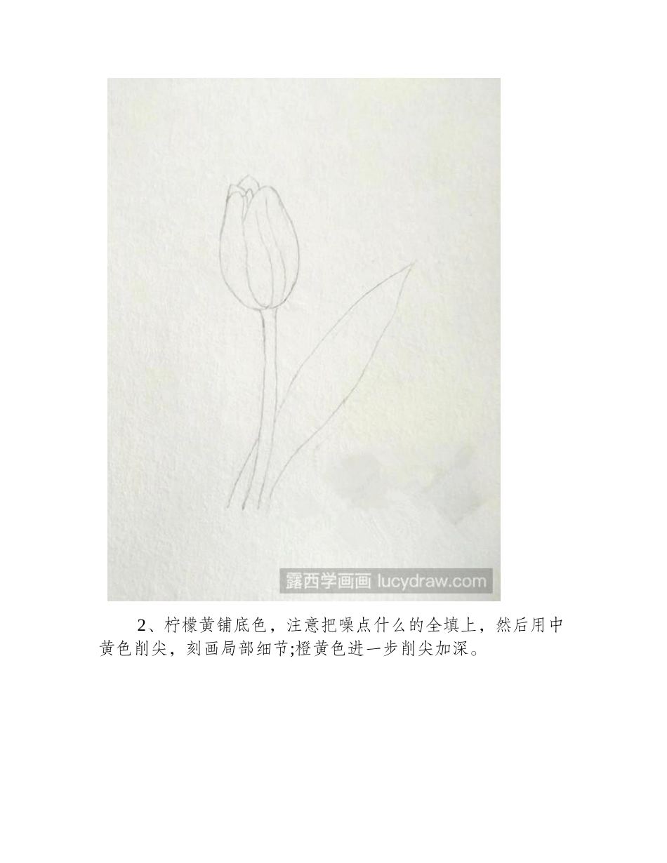 一支郁金香彩铅画教程彩铅画教程_第2页