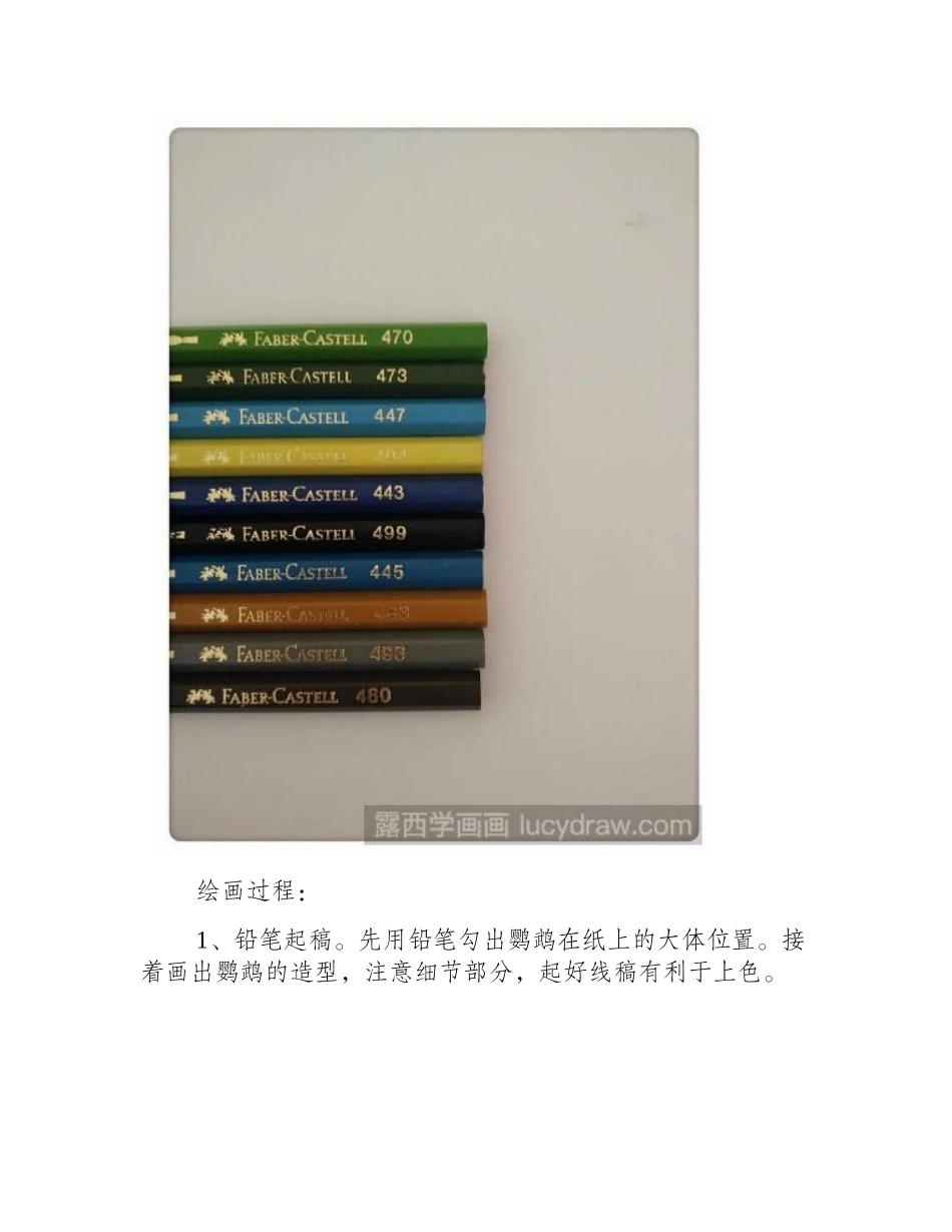 鹦鹉彩铅画绘画步骤彩铅画教程1_第2页