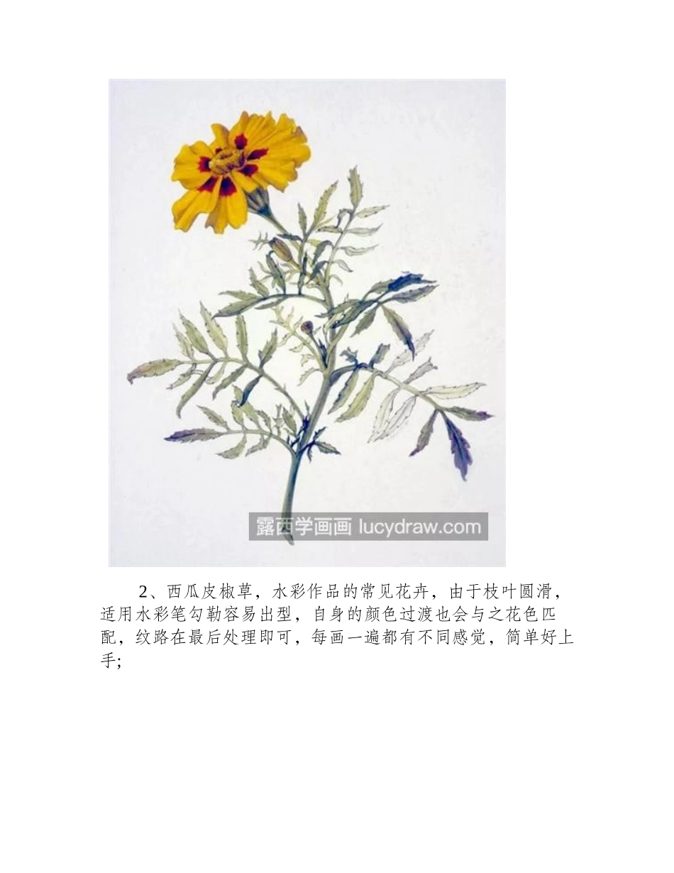 一组花卉作品欣赏，如何画出高清水彩彩铅画_水彩画作品2_第2页
