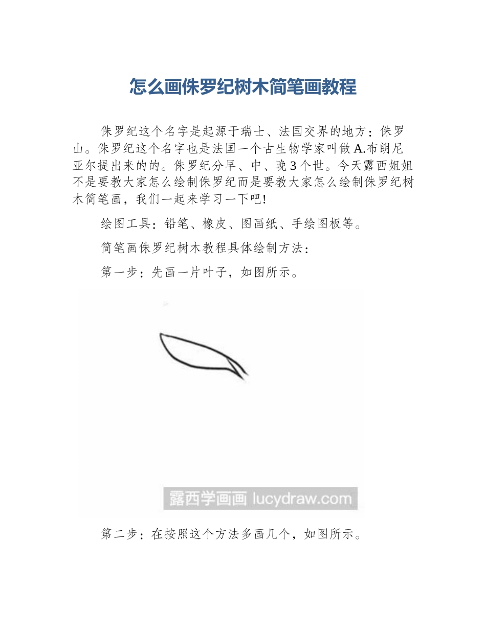 怎么画侏罗纪树木简笔画教程_第1页