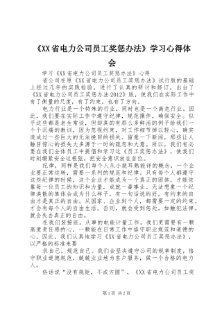 《XX省电力公司员工奖惩办法》学习心得体会
