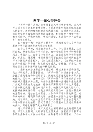 两学一做心得体会 (35)