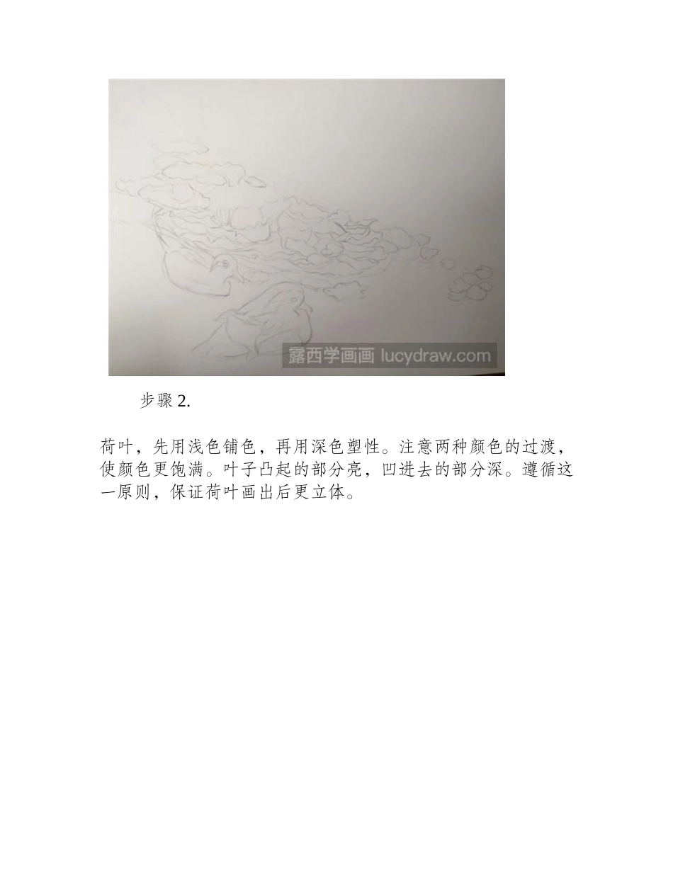 鸳鸯彩铅画教程彩铅画教程_第2页