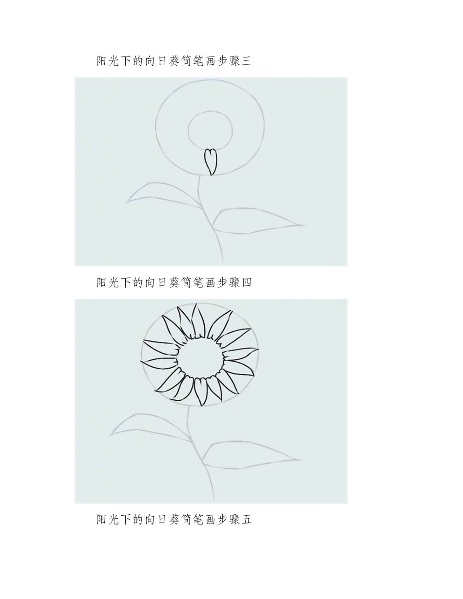 阳光下的向日葵简笔画简笔画作品_第2页