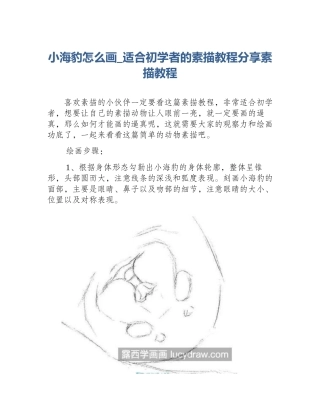 小海豹怎么画_适合初学者的素描教程分享素描教程