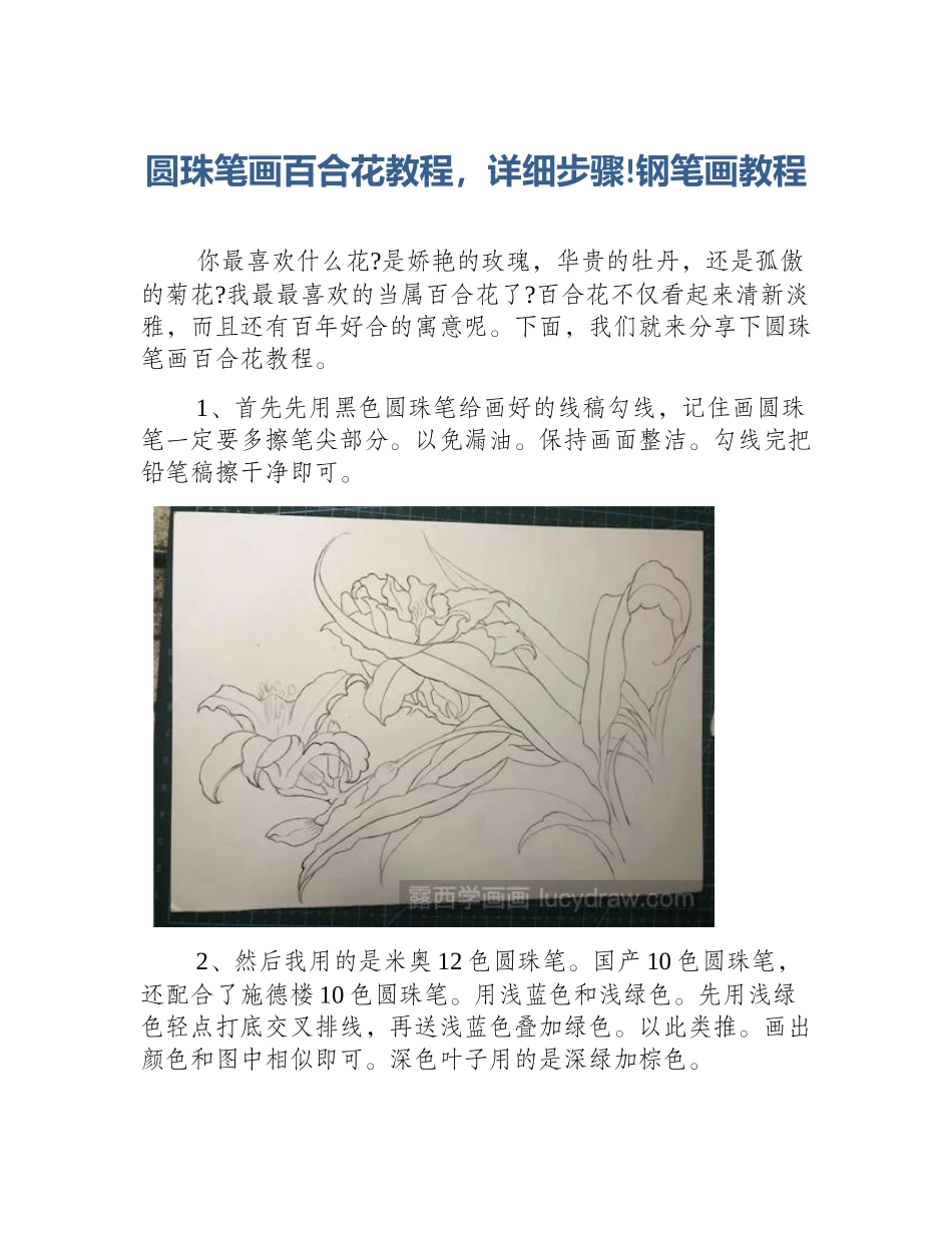 圆珠笔画百合花教程，详细步骤!钢笔画教程_第1页