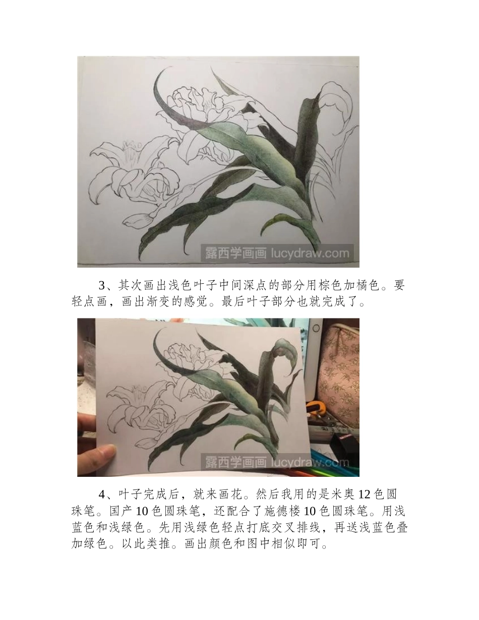 圆珠笔画百合花教程，详细步骤!钢笔画教程_第2页