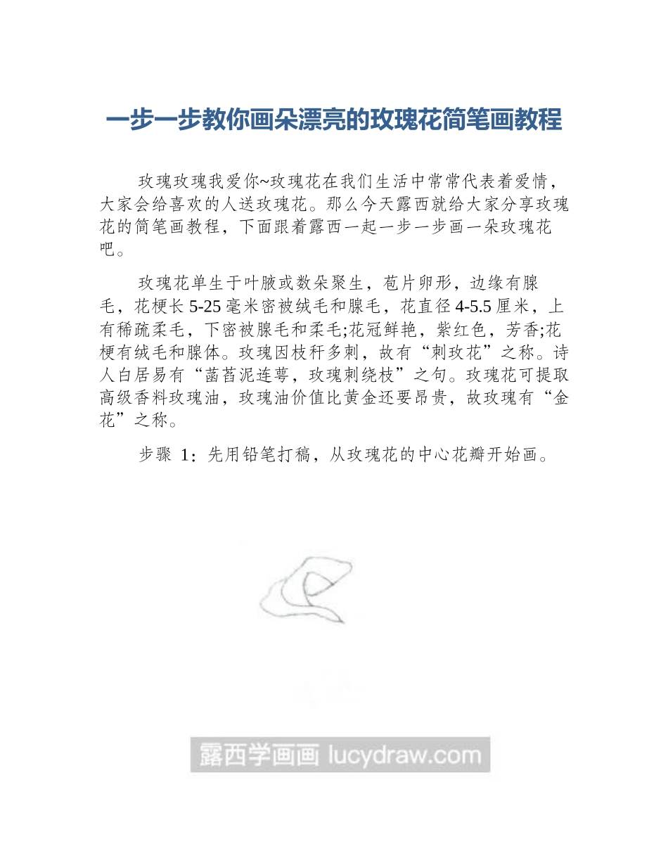 一步一步教你画朵漂亮的玫瑰花简笔画教程_第1页