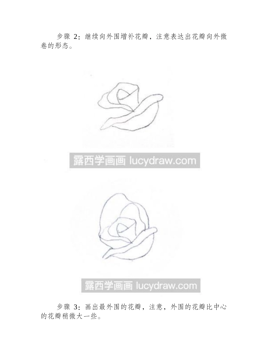 一步一步教你画朵漂亮的玫瑰花简笔画教程_第2页