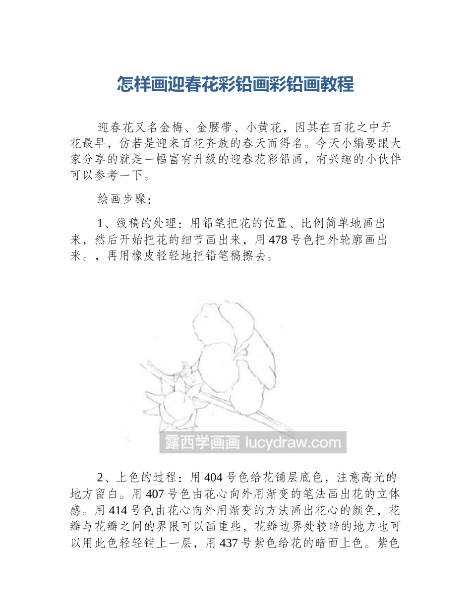 怎样画迎春花彩铅画彩铅画教程_第1页