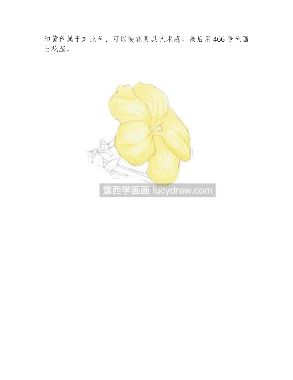 怎样画迎春花彩铅画彩铅画教程_第2页