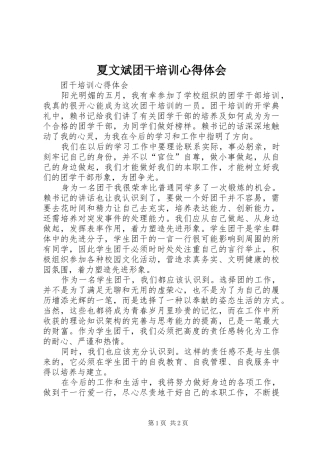 夏文斌团干培训心得体会