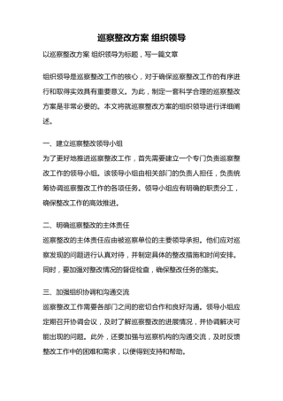 巡察整改方案 组织领导 