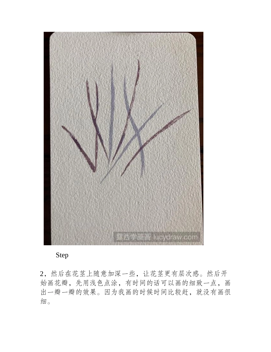 薰衣草水彩画教程水彩画教程_第2页