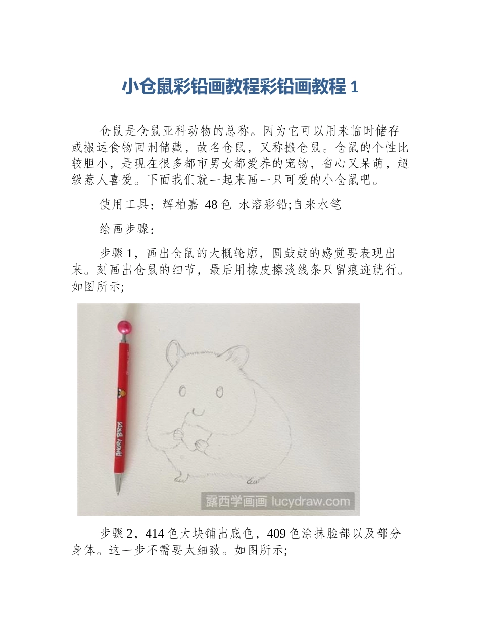 小仓鼠彩铅画教程彩铅画教程1_第1页