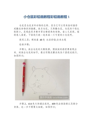 小仓鼠彩铅画教程彩铅画教程1