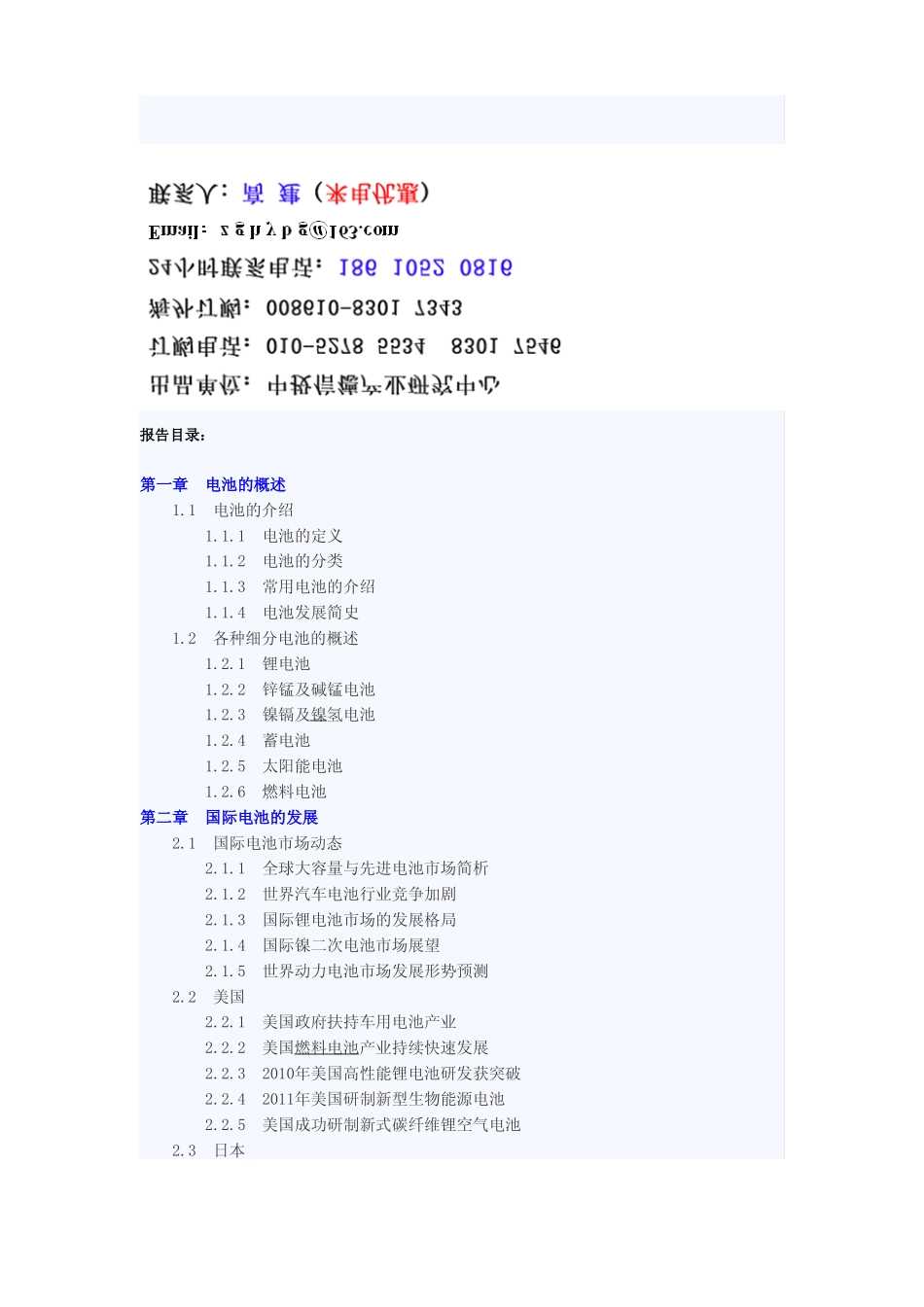 中国电池行业投资分析及前景预测报告_第1页