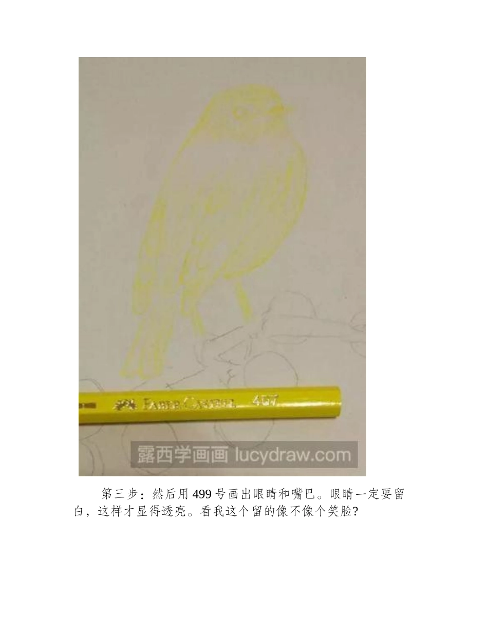 知更鸟彩铅画教程彩铅画教程_第2页