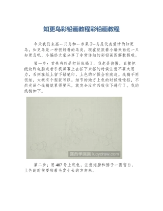 知更鸟彩铅画教程彩铅画教程