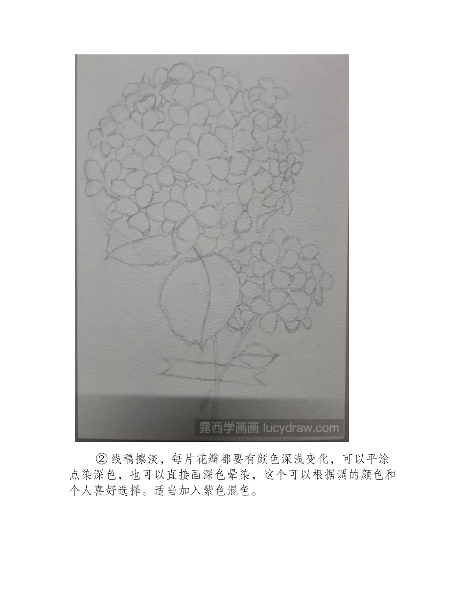 怎么画绣球花_详细的绣球花水彩画步骤分解水彩画教程_第2页